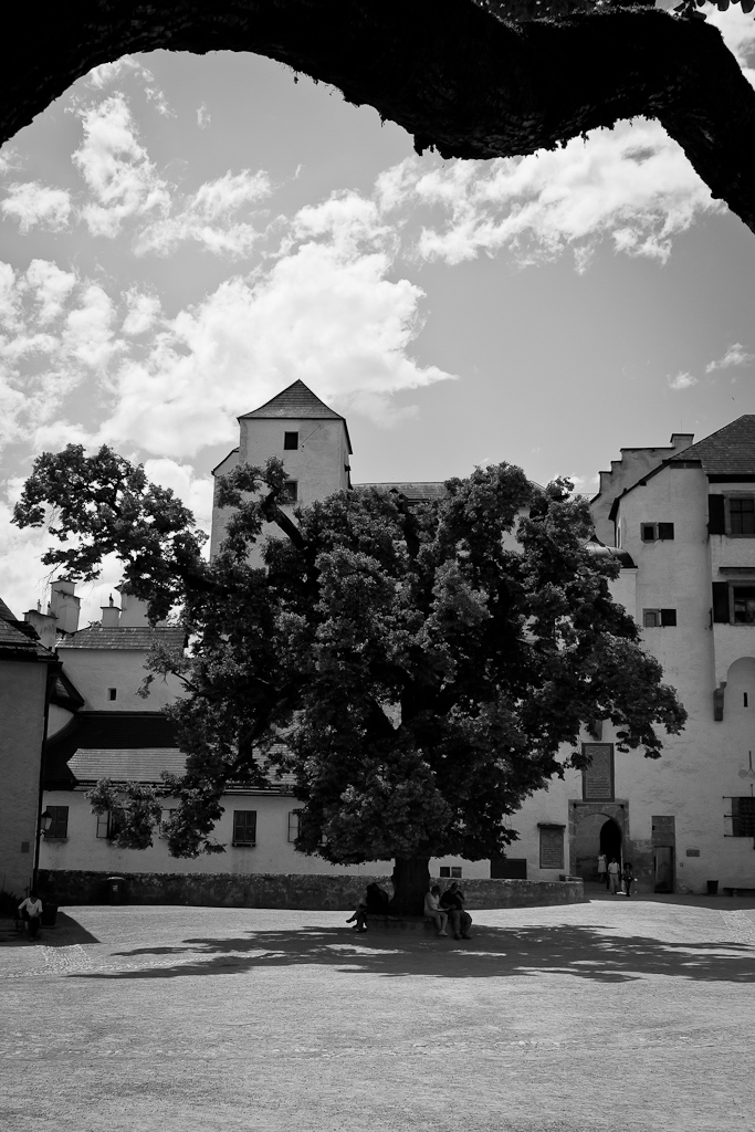 Forteresse Hohensalzburg - La cour intérieur et son arbre.
