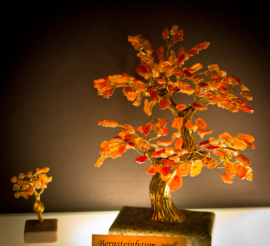 Forteresse Hohensalzburg - bernsteinbaum - arbre d'ambre jaune.